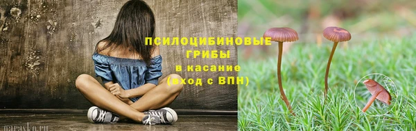 кокс Козловка