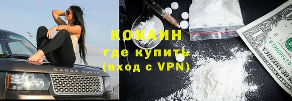 крисы Алзамай