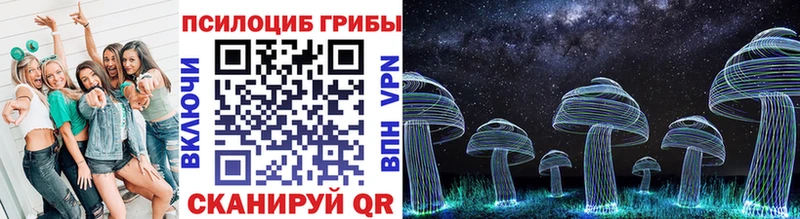 Купить  Красково  Галлюциногенные грибы GOLDEN TEACHER 